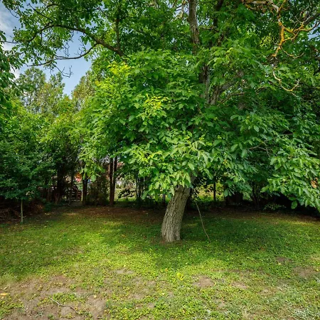 Pinus 2 By Interhome Tatil Evi *